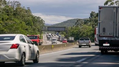 BR-101 em Penha será interditada na madrugada de quinta para poda de árvores