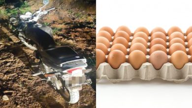 Dupla é presa após perseguição policial por roubo de cartela de ovos em Timbó