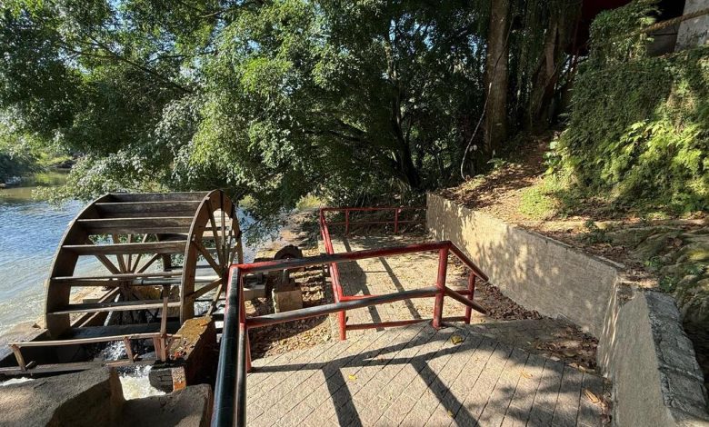 Quatro suspeitos são flagrados com maconha em ponto turístico de Timbó