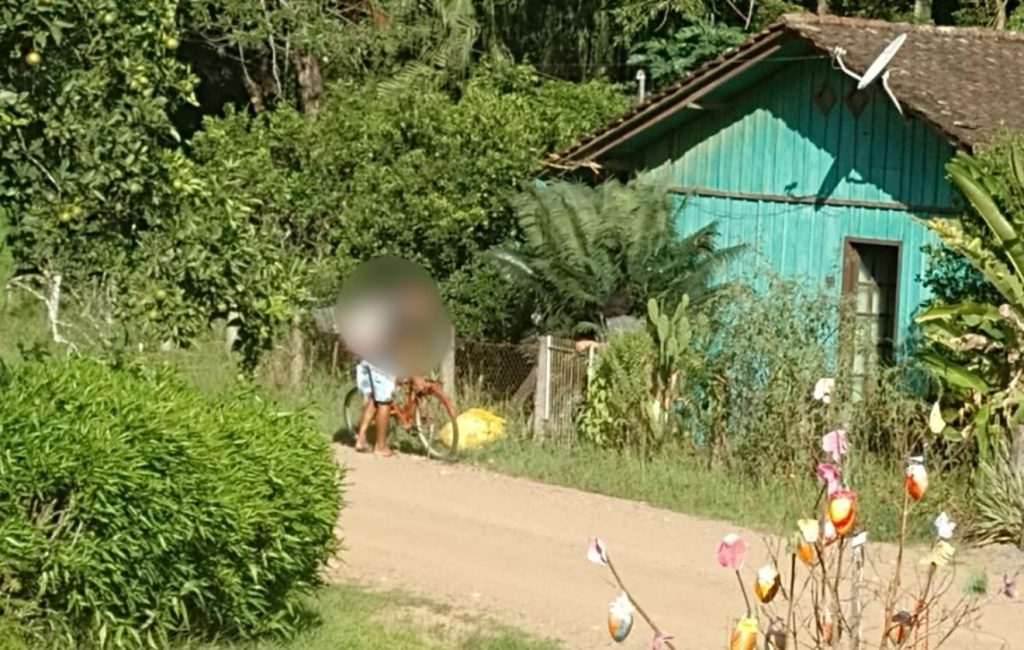 Cadela acorrentada é resgatada em Timbó com ferimentos infestados por larvas e desnutrição grave