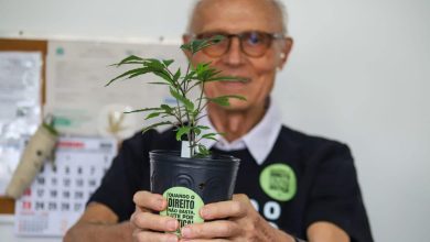 Deputado do PT defende criação de salas seguras para consumo de drogas em SP