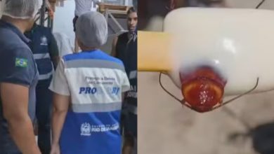 Fábrica de picolés no RJ é interditada após consumidor encontrar barata no produto; multa pode ultrapassar R$ 13 milhões