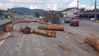 Caminhão carregado de madeira tomba e bloqueia trânsito na BR-470, em Indaial