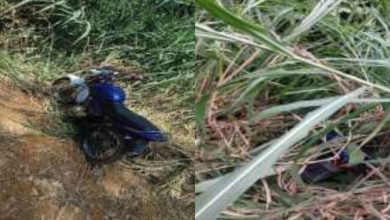 Motocicleta furtada é encontrada abandonada em matagal em Indaial