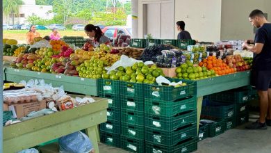 Feira livre de Indaial completa 30 anos com celebração especial