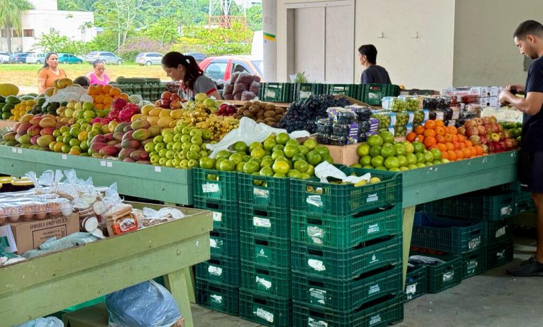 Feira livre de Indaial completa 30 anos com celebração especial
