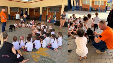 Cachorra Malu leva educação e segurança às crianças em projeto da Defesa Civil de Timbó