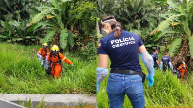 Corpo é encontrado em área de mata às margens da BR-470, em Gaspar