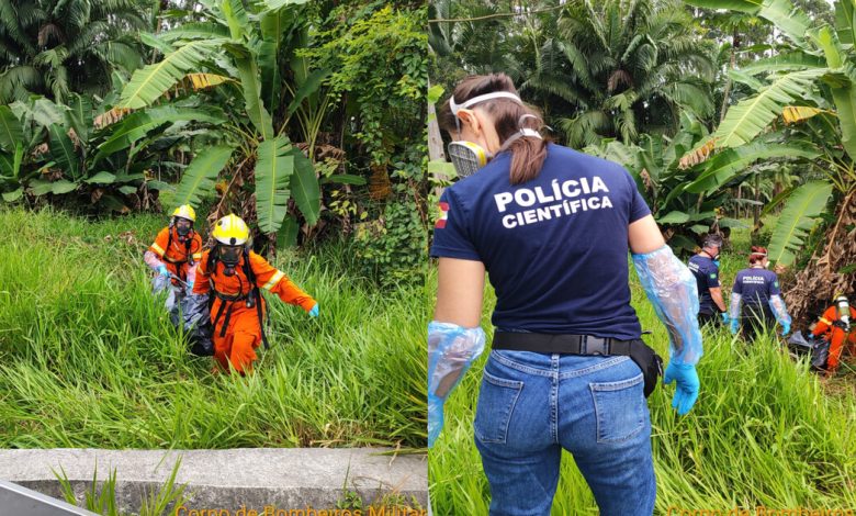 Corpo é encontrado em área de mata às margens da BR-470, em Gaspar
