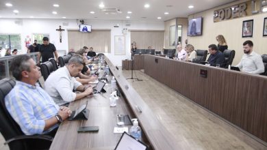 Câmara de Blumenau aprova moção pela criação de clínica veterinária municipa