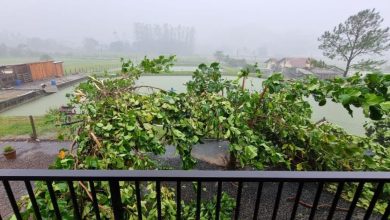 Temporal derruba postes e árvores em Timbó e fecha BR-470 em Apiúna