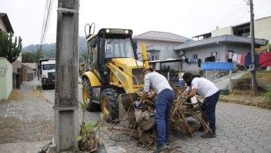 Mutirão contra a dengue em Blumenau remove mais de 3 toneladas de entulho