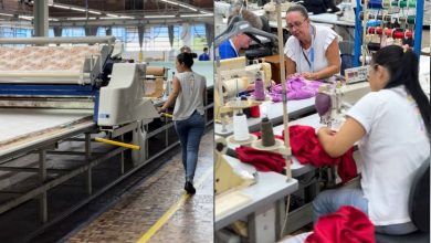 Feirão de Empregos da Malhas Wilson: Oportunidade para ingressar no mercado de trabalho