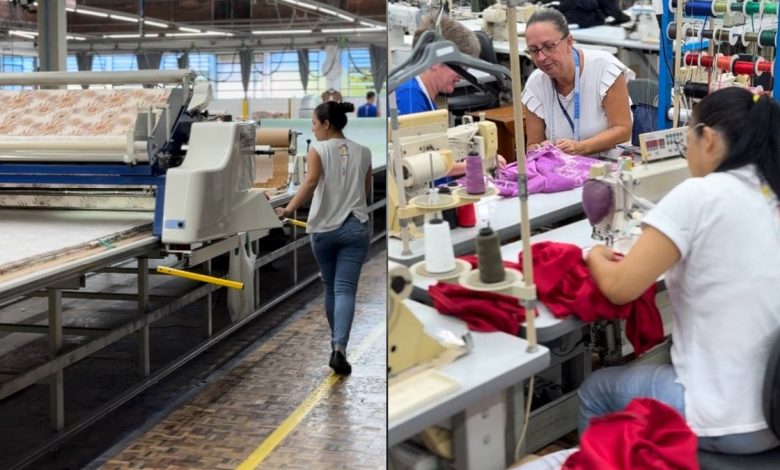 Feirão de Empregos da Malhas Wilson: Oportunidade para ingressar no mercado de trabalho