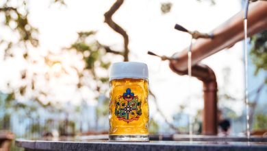 Museu da Cerveja de Blumenau terá entrada gratuita e show especial neste domingo (9)