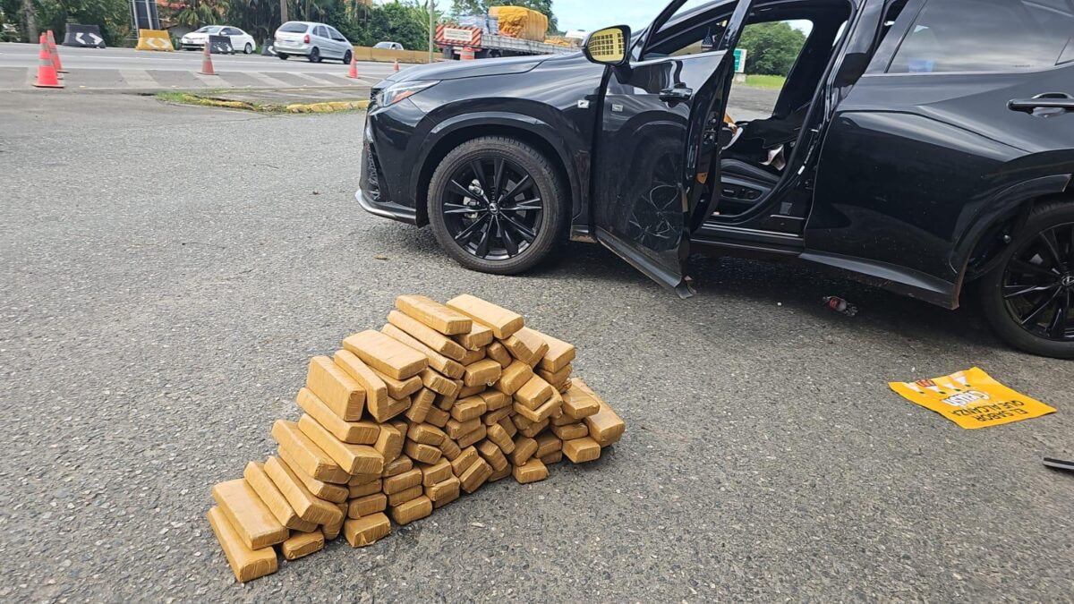 PRF intercepta três carros com maconha durante feriadão em SC; cinco foram presos