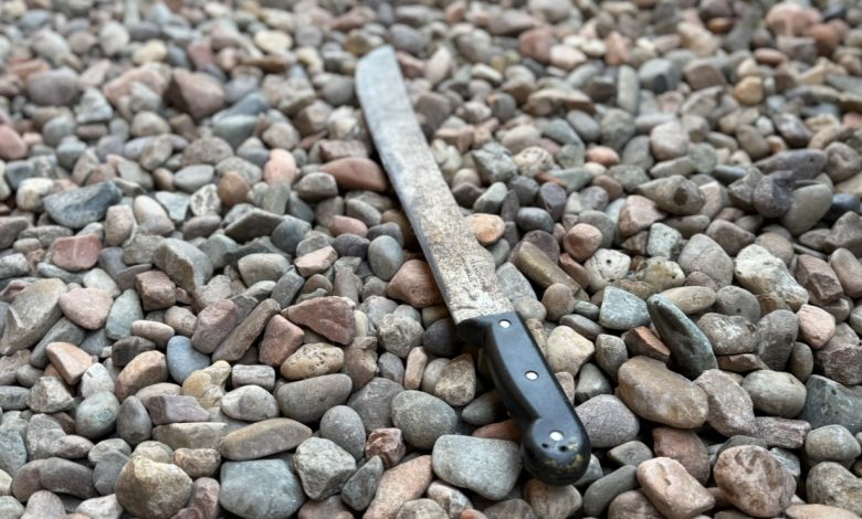 Após perseguição, homem que ameaçou filhos e mulher com facão é preso em Indaial