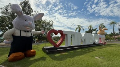 Piquenique e Festa das Cores agitam a Páscoa em Timbó neste domingo