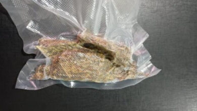 Homem é flagrado com Skank durante patrulhamento da PM em Timbó