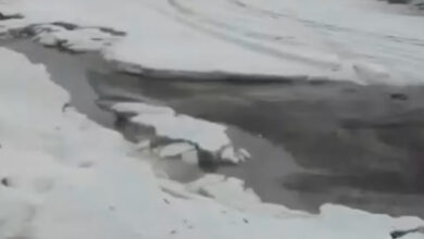 Cenário de inverno em cidade de SC após granizo; Defesa Civil monitora danos em municípios vizinhos