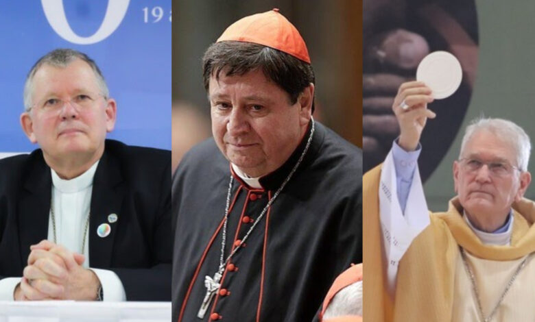 Três catarinenses vão participar da escolha do novo papa