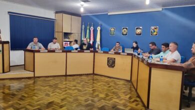 Abandono dos animais ou da lei? Vereadora cobra respostas da Prefeitura sobre conselho e fiscalização