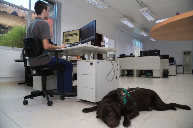 Cresce a empregabilidade da pessoa com deficiência no mercado de trabalho formal em SC