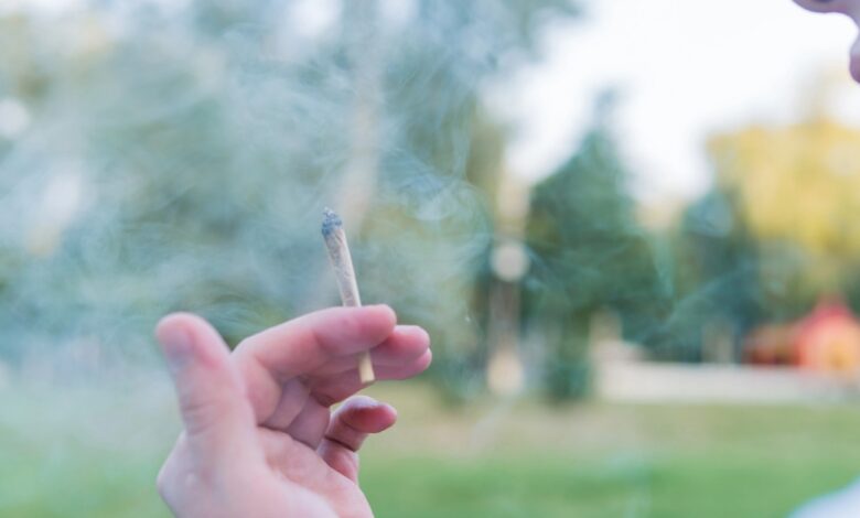 Decreto em SC regulamenta multa de R$ 1.5 mil para quem for pego usando drogas em locais públicos