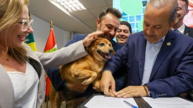 Pet Levado a Sério: SC lança maior programa de castração do Brasil com R$ 18 milhões
