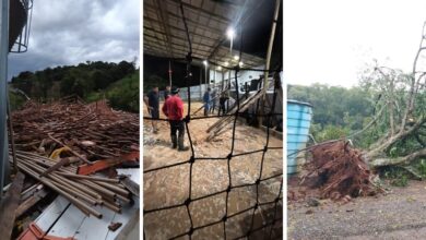 Vendaval com granizo provoca estragos em cidades de SC
