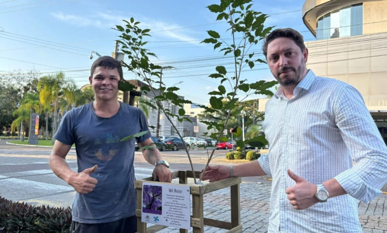 Ipê roxo é plantado onde árvore caiu após temporal em Timbó