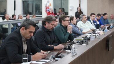 Câmara de Blumenau aprova criação do Programa Cão Terapia