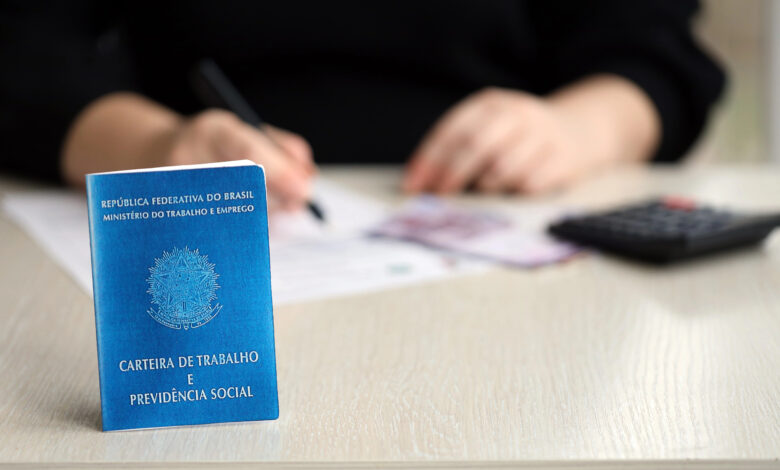 Santa Catarina se destaca entre os estados que mais geraram empregos no início de 2025