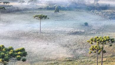 Primeira onda de frio do outono traz chance de neve e geada intensa em SC