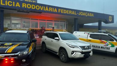 Polícias apreendem cerca de 720 kg de maconha avaliados em R$ 1,5 milhão em SC