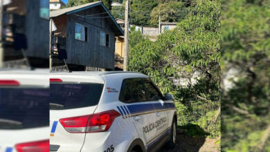 Idosa é encontrada morta com marcas no rosto e possível mordida de animal no pescoço em SC