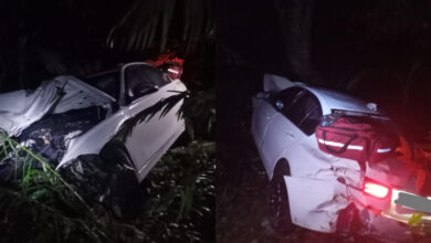 Condutor fica ferido após BMW cair em ribanceira de 20 metros na BR-470, em Apiúna