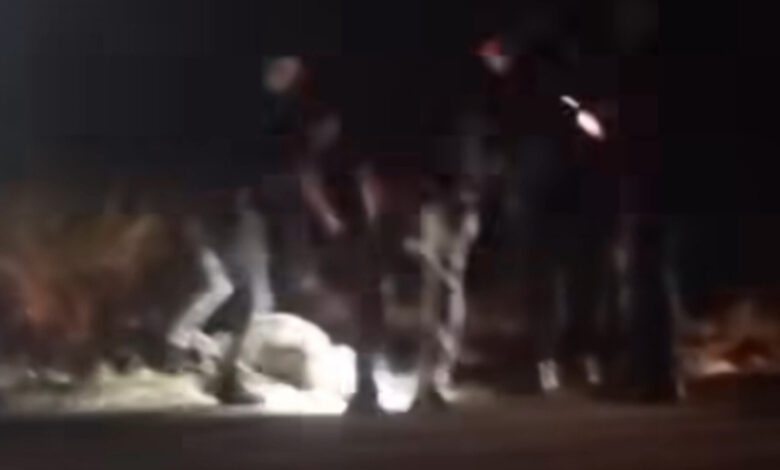 Corpo de mulher é encontrado carbonizado às margens de rodovia em SC