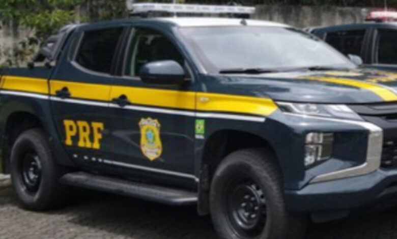 Homem é condenado a mais de 7 anos de prisão por transportar 231kg de maconha de PR para SC
