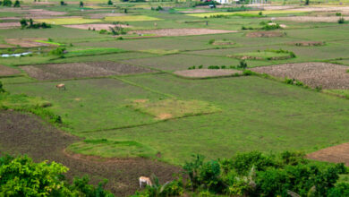 Emissão do CCIR 2025 estará disponível a partir de 17 de junho em Timbó