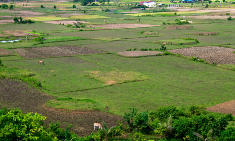 Emissão do CCIR 2025 estará disponível a partir de 17 de junho em Timbó