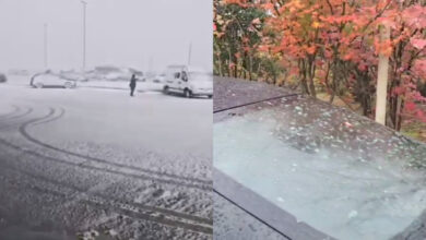 Santa Catarina registra a primeira neve de 2025 na Serra