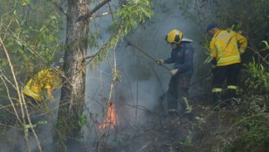 Tempo seco aumenta risco de incêndios em vegetação em SC