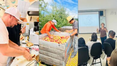 Indaial realizará festival gastronômico com receitas autorais e sabores regionais