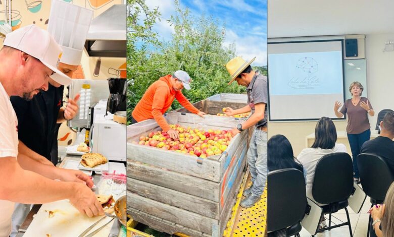 Indaial realizará festival gastronômico com receitas autorais e sabores regionais