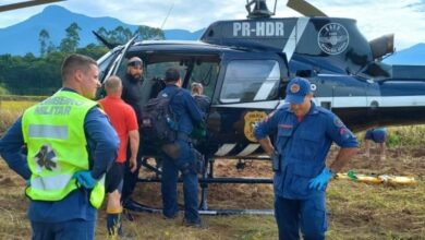 Homem fica inconsciente após ataque de marimbondos em área de mata em SC e é resgatado de helicóptero