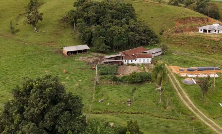 Agricultura familiar recebe investimento de R$ 20,5 milhões Do governo de SC