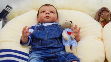 Dia da Cegonha Reborn é aprovado na Câmara e pode ganhar data oficial no RJ