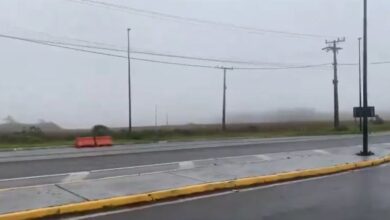 Rajadas de vento de 71 km/h atingem a Serra catarinense; Defesa Civil alerta para frio intenso