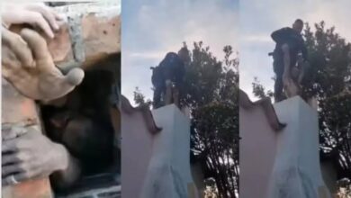 Homem tenta invadir casa por chaminé, fica preso e é detido em flagrante